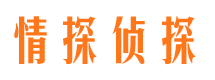 七里河侦探公司